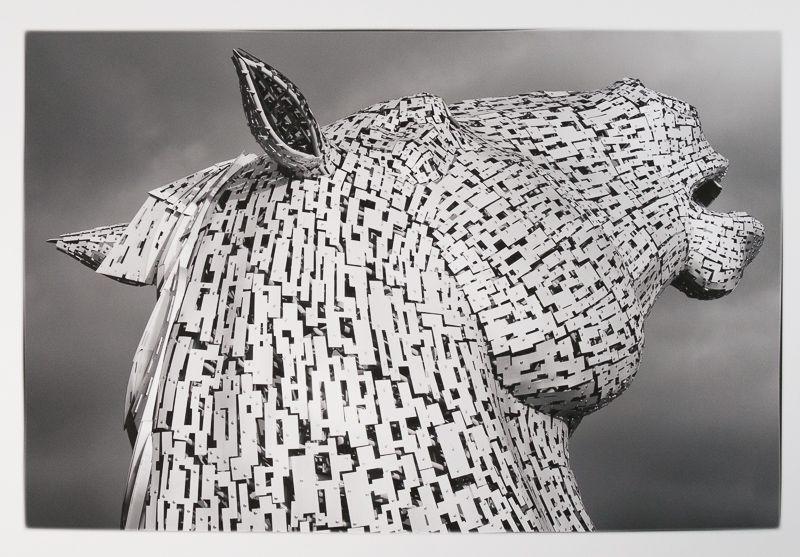 Kelpie 800px